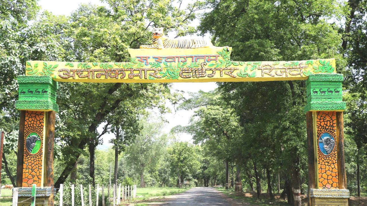 Female guides setting new paths at Achanakmar Tiger Reserve