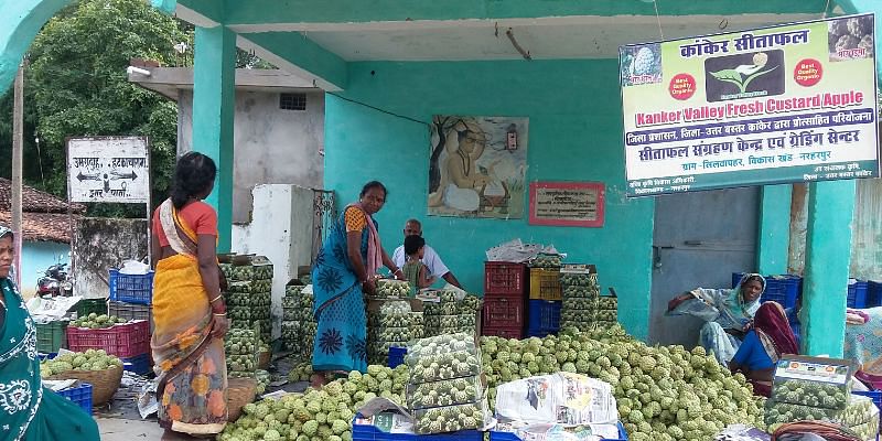 कांकेर जिले के महिलाएं बन रहे आत्मनिर्भर